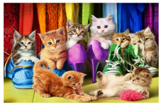 Diamond Painting Katzenfamilie